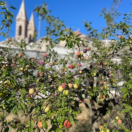 Borganthia - Il Chiostro Dei Medici Hotel Alberobello Luaran gambar