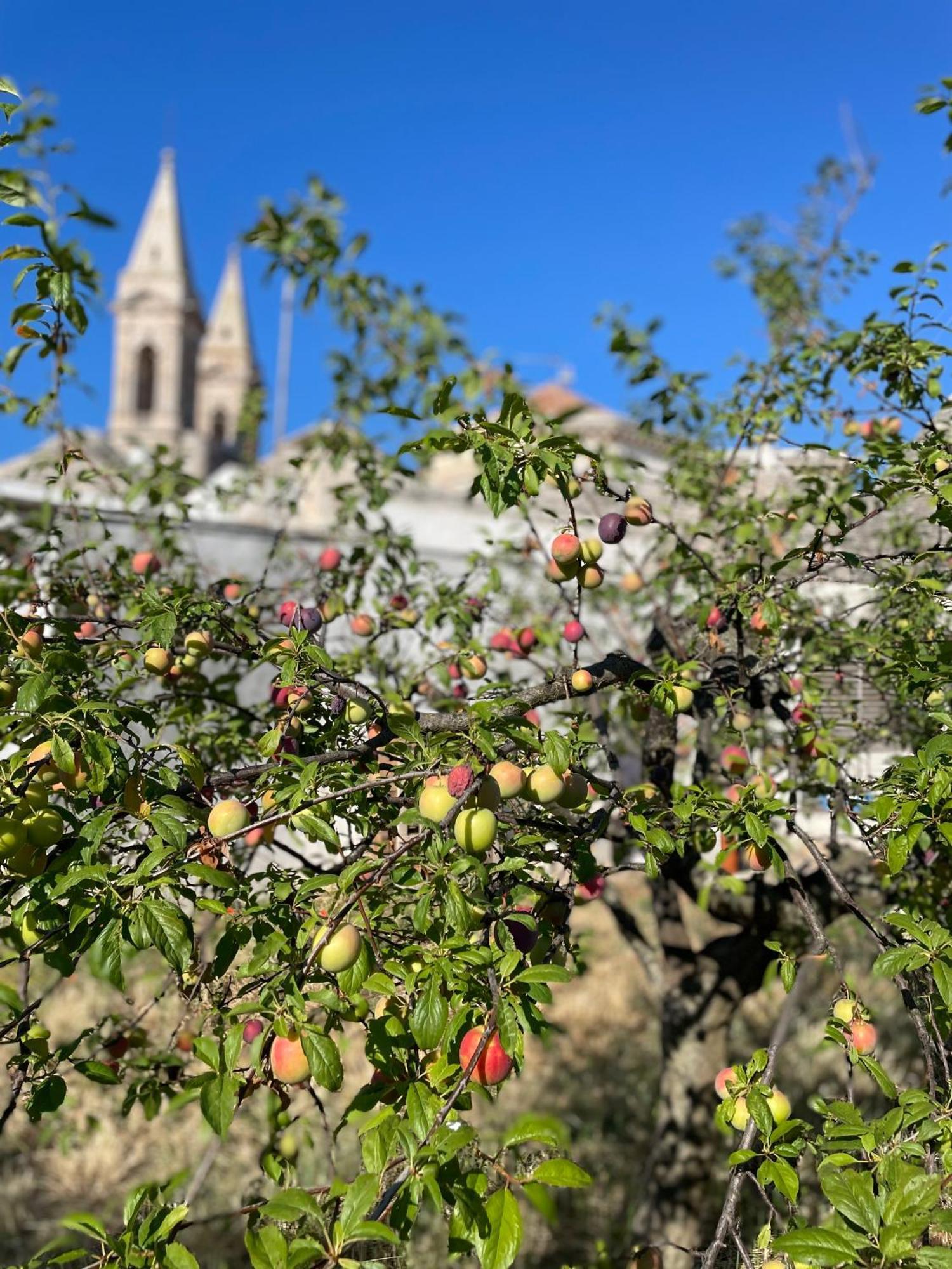 Borganthia - Il Chiostro Dei Medici Hotel Alberobello Luaran gambar